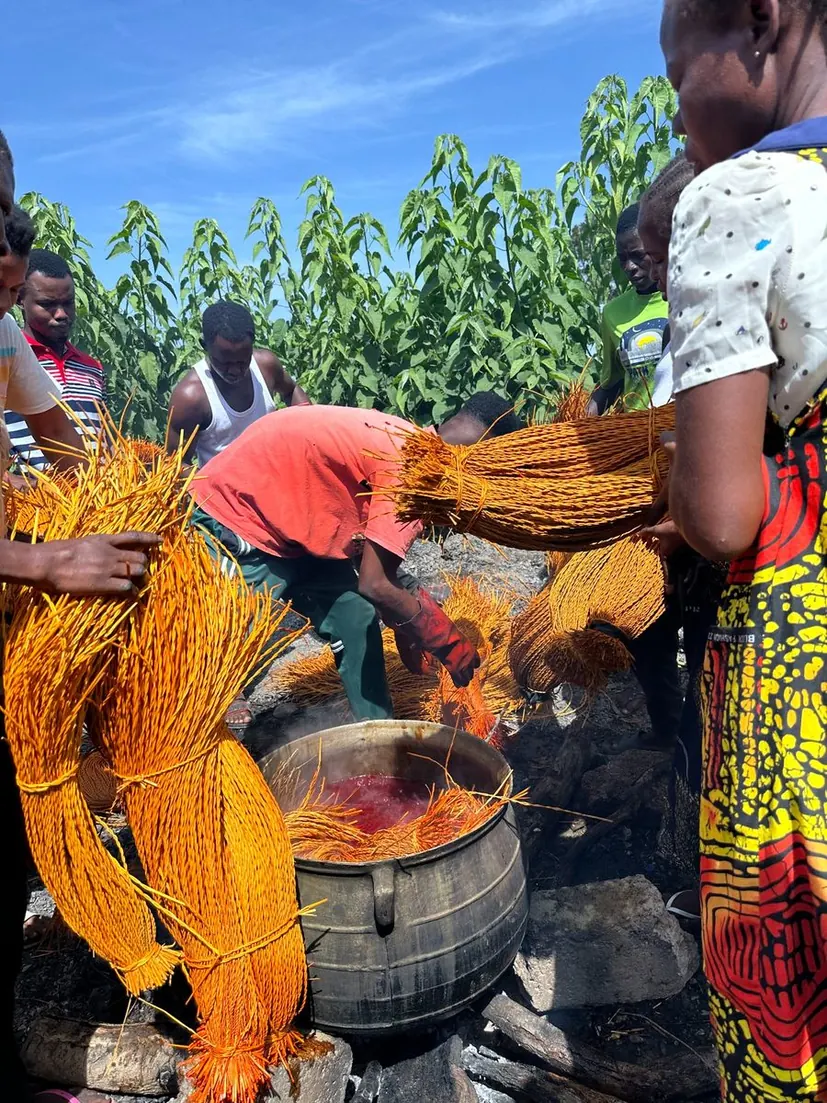 Basket makers working with yellow straw at the dyeing pots