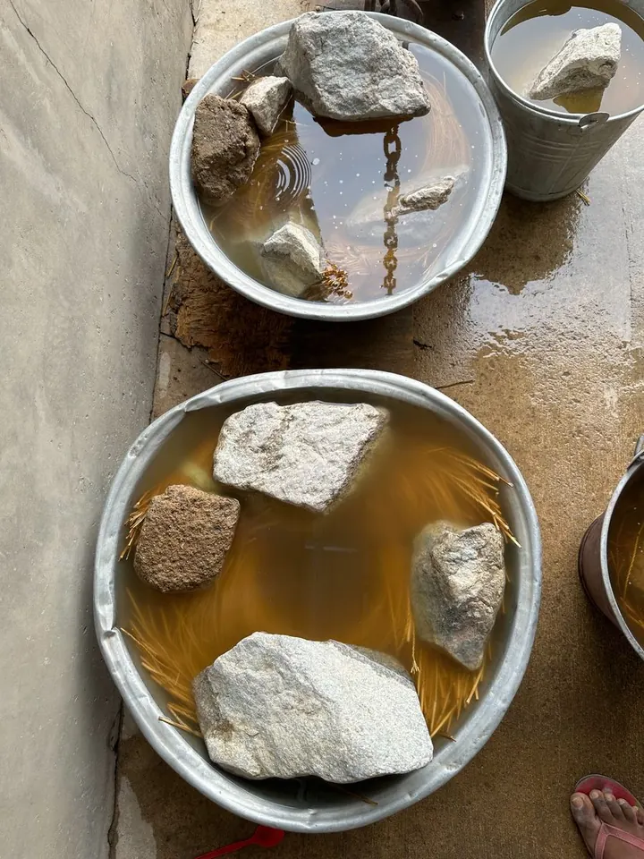Natural straw soaking under stones in metal bowls